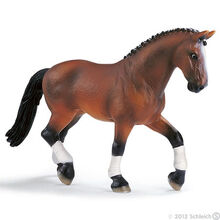 Hanoverian Mare, dressage