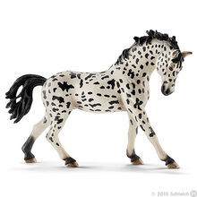 Knabstrupper Mare 2015