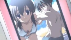 Next summer