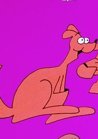 Pet Kangaroo (2)