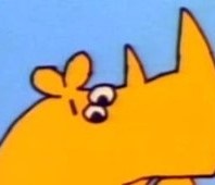Pet Rhinoceros