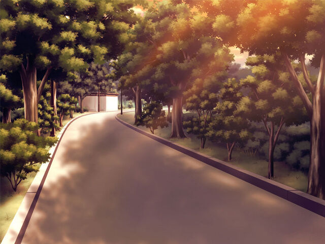 Файл:Parkz.jpg