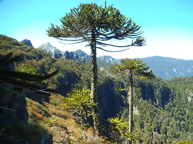 File:Environment 05.jpg