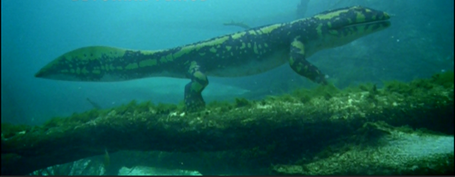 File:Hynerpeton.png