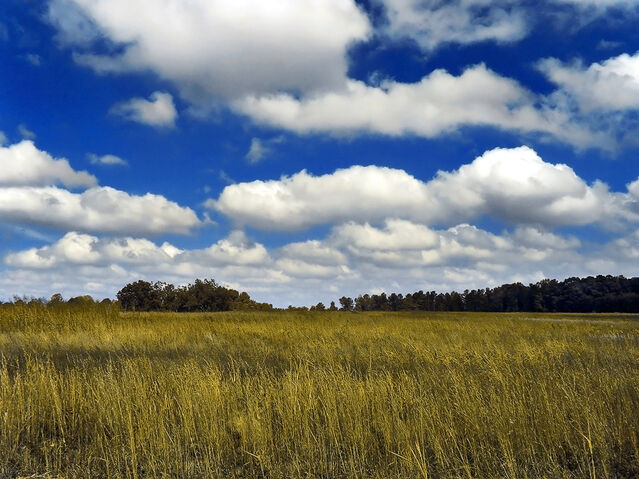 File:Cumulus 03.jpg