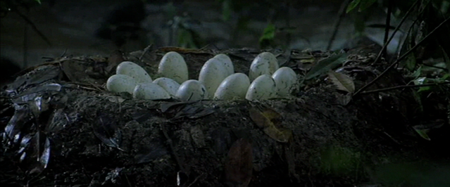 File:Nest 02.png