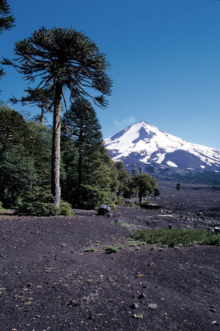 File:Chile.jpg