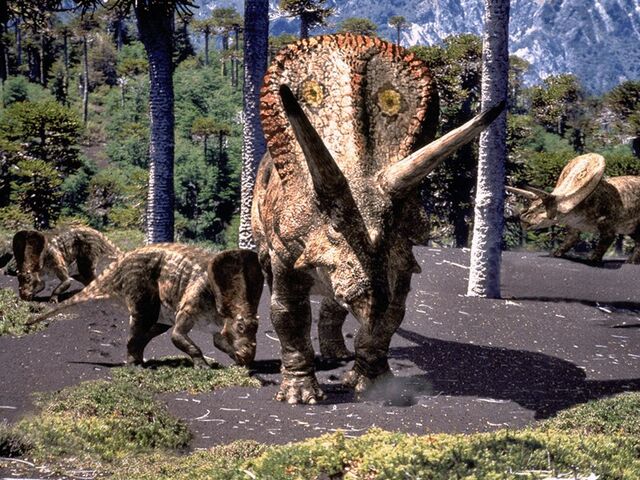 File:Torosaurus and juvenille.jpg