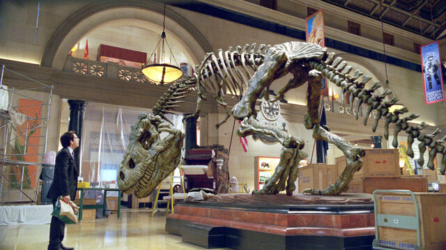 File:Rexy Skeleton.jpg