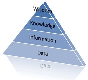 Data-Information-Wisdom-02-goog.jpg