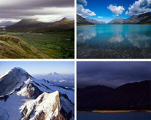 Nature-goog.jpg
