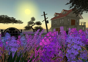 Dream-19-goog.jpg