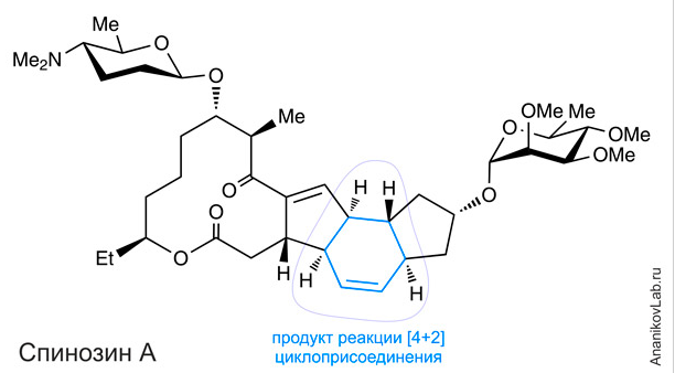 Фермент spnf 3