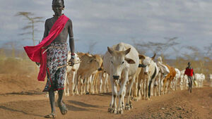 Pastoralism-01-goog