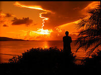 Apotheosis05-goog.jpg