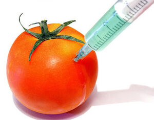 GMOs-02-goog.jpeg