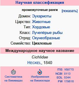 Цихловые