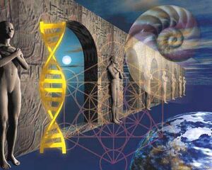Evolution-01-goog.jpg
