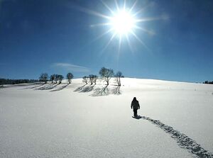 Desert-02-goog.jpg