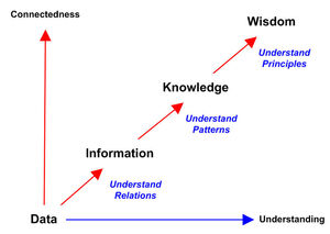 Data-Information-Wisdom-01-goog.jpg