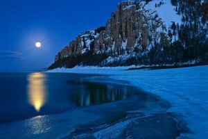 Nature-11-goog.jpg