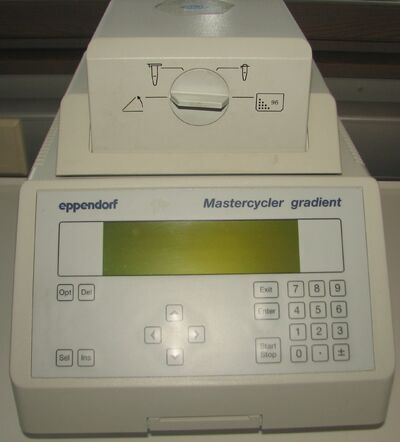 PCR thermocycler