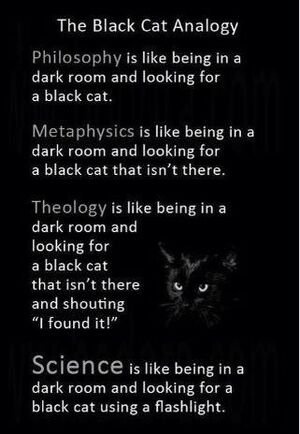 Science-Black-Cat-goog.jpg
