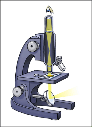 Microscopes-goog