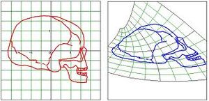 Diffeomorphism-03-goog