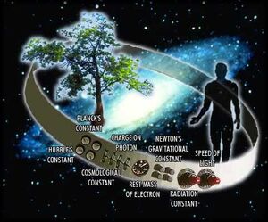Anthropic-Principle-02-goog.jpg
