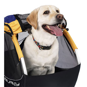 Dog-goog.jpg