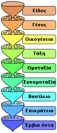 Biological-Classification-wik.png