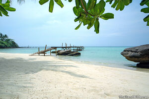 Dream-45-goog.jpg