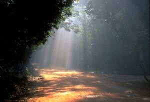 Dream-13-goog.jpg