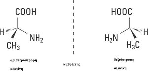 Aminocids-Alanine-01-goog.jpg