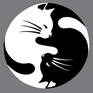Twofoldness-Cat-goog