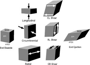 Shear-01-goog.jpg