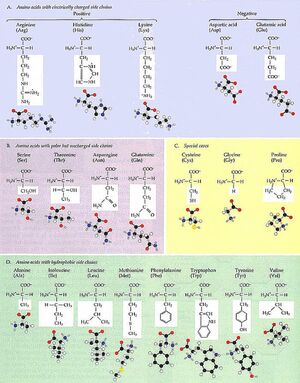 Abiogenesis-05-goog.jpg