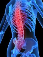 Spine-goog.jpg