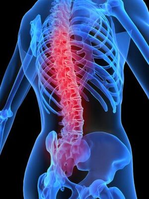 Spine-goog.jpg