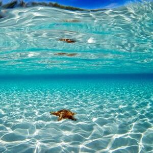 Sea-01-goog