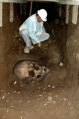 File:Giant Skeleton 6.png