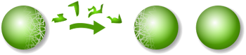 Banach-Tarski Paradox.svg.png