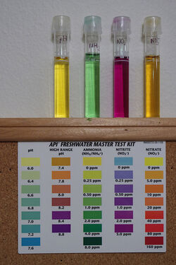 365RainbowChemistry