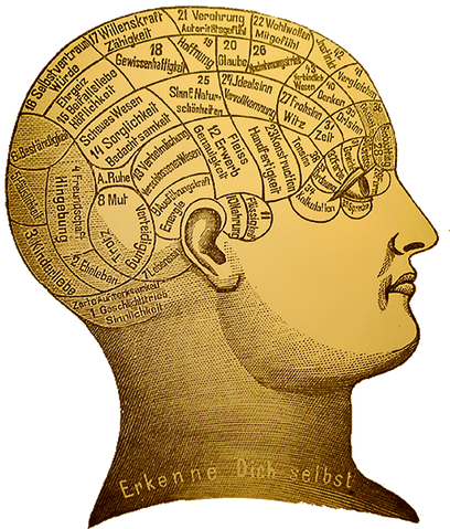 File:Phrenology.png