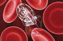 Nano robots-body2-180813.jpg