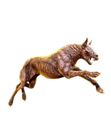 Barghest