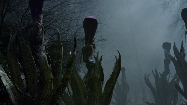 File:Triffids 2009.jpg