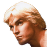 File:Flashicon.png