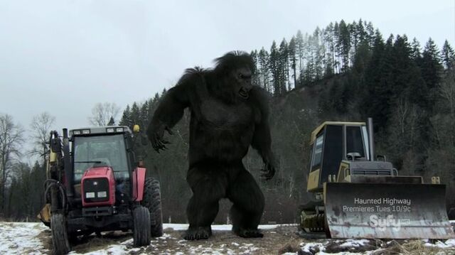 File:Bigfoot7.jpg